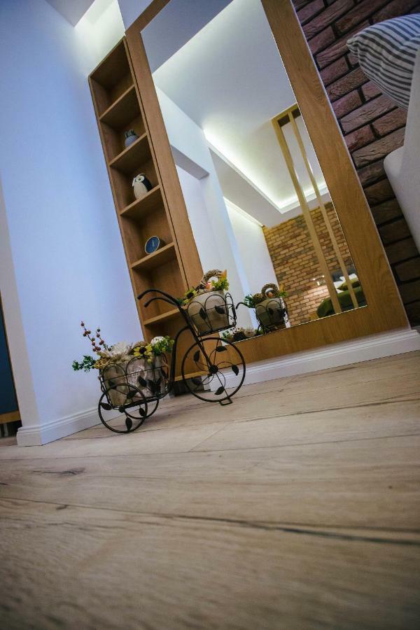 Briana Luxury Studio クルージュ＝ナポカ エクステリア 写真